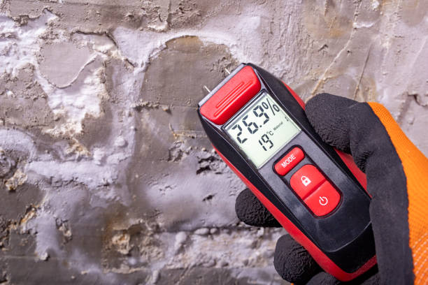 Best Mold Removal and Inspection  in Vincent, AL