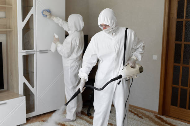 Crawl Space Mold Removal in Vincent, AL