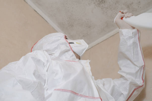 Best Mold Testing  in Vincent, AL
