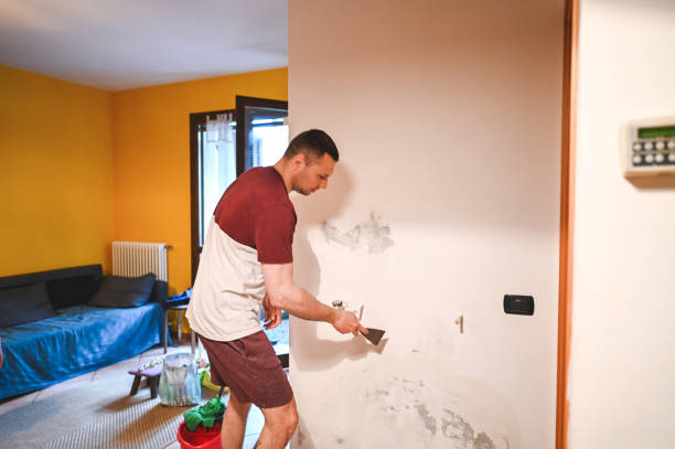 Best Mold Remediation  in Vincent, AL